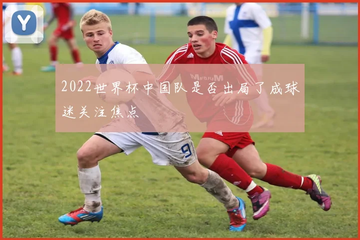 2022世界杯中国队是否出局了成球迷关注焦点