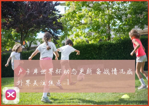 卢卡库世界杯动态更新 备战情况成外界关注焦点_1