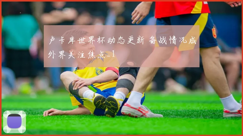 卢卡库世界杯动态更新 备战情况成外界关注焦点_1